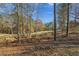 Wooded area with natural landscape and golf course view at 7042 Confederate Ct, Villa Rica, GA 30116