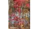 Scenic view of colorful autumn foliage near a serene lake or body of water at 413 Solace Pl, Canton, GA 30114