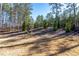 Landscaped backyard with a sloped terrain and privacy fence at 39 Telfair Ct, Acworth, GA 30101