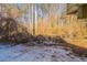 Scenic backyard view in wintertime at 3332 Fannin Ct, Lithonia, GA 30038