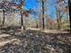 Spacious wooded lot with hardwood trees at 75 Briar Patch Rd, Covington, GA 30014