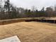 Expansive, unfenced backyard offering plenty of space for outdoor enjoyment at 1641 Fuma Leaf Way, Mcdonough, GA 30253