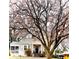 Inviting single-story home with a mature magnolia tree and manicured landscaping at 91 Morris Brown Sw Dr, Atlanta, GA 30314