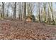 Wooded backyard with shed and leaf covered ground at 1695 Bull Sw Run, Lilburn, GA 30047