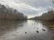 Scenic river view with ducks swimming in the water and trees lining the banks under a cloudy sky at 6945 Melody Dr, Buford, GA 30518