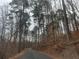 Street view of wooded roadside with sparse trees at 6945 Melody Dr, Buford, GA 30518