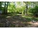 Spacious green backyard with mature trees offers ample room for outdoor activities at 4120 Highway 92, Acworth, GA 30102