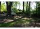 Lush backyard featuring a tree, swing, and natural landscaping, offering a serene and private outdoor space at 4120 Highway 92, Acworth, GA 30102
