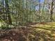 A view of the property's backyard, with vibrant greenery and dappled sunlight shining through the dense trees at 1409 Oakridge Cir, Decatur, GA 30033