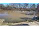 Scenic view of the peaceful lake with a goose and a small dock at 3634 Autumn Ridge Pkwy, Marietta, GA 30066