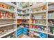 Spacious pantry with lots of shelving filled with storage containers, food, and drinks at 595 Everton Pl, Grayson, GA 30017
