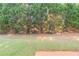 Private backyard with lush greenery and patio at 129 Janney Cir, Mcdonough, GA 30253