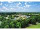 Community aerial view featuring mature trees, lush green space, and single-Gathering homes at 631 Egrets Lot 50 Lndg, Covington, GA 30014
