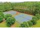 Aerial view of the community's four tennis courts with lush surrounding trees at 631 Egrets Lot 50 Lndg, Covington, GA 30014