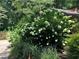 The well-kept landscaping features lush greenery, a variety of plants, and a trimmed lawn at 3479 Chestnut Dr, Atlanta, GA 30340