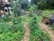 Lush garden with various plants and vegetables at 770 Rochelle Sw Dr, Atlanta, GA 30310