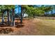 View of the front yard with mature trees framing the house and surrounding landscape enhancing privacy at 3625 Pointer Rd, Loganville, GA 30052