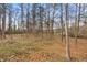 Spacious backyard featuring many trees, a few patches of grass, and lots of fallen leaves at 4458 Paces Battle Nw, Atlanta, GA 30327