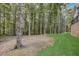 Side yard view of house showcasing wooded area and lawn at 5341 Hill Nw Rd, Acworth, GA 30101
