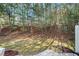 Spacious backyard featuring a wooded landscape providing a private feel at 2804 Parkway Cv, Lithonia, GA 30058