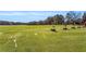 Scenic driving range with ample space at 5152 Boulder Bluff Way, Suwanee, GA 30024