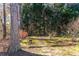 Landscaped backyard with stone pathway, lush greenery, and a serene atmosphere at 2041 Democracy Dr, Buford, GA 30519