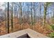 View from deck, showcasing a lush wooded area at 1608 Woodcliff Ne Dr, Atlanta, GA 30350