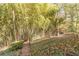 Landscaped backyard with bamboo forest at 2612 Country Club Se Dr, Conyers, GA 30013