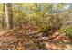 Small creek gently flows through a wooded area at 2612 Country Club Se Dr, Conyers, GA 30013