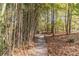 Gravel pathway bordered by bamboo at 2612 Country Club Se Dr, Conyers, GA 30013