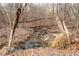 Scenic view of the creek running through the wooded property at 3413 Talking Creek Ct, Conyers, GA 30094