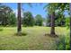 Lush backyard with mature trees and green grass, creating a peaceful and natural setting at 257 Country Club Dr, Jonesboro, GA 30238