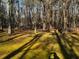 Backyard featuring trees and grass at 2755 Berry Rd, Loganville, GA 30052