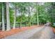 Driveway lined with tall trees and a black fence at 1109 Wiley Bridge Rd, Woodstock, GA 30188