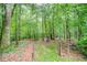 A wooded backyard with paths at 1109 Wiley Bridge Rd, Woodstock, GA 30188