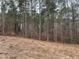 Cleared lot behind new home construction, showing wooded area at 515 Penny Ln, Loganville, GA 30052