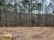Cleared lot behind new home construction, showing wooded area at 515 Penny Ln, Loganville, GA 30052