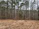 Cleared lot behind new home construction, showing wooded area at 515 Penny Ln, Loganville, GA 30052