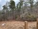 A scenic backyard view with dense woods, visible from the property's elevated deck at 515 Penny Ln, Loganville, GA 30052