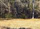 View of wooded lot with sparse undergrowth at 515 Penny Ln, Loganville, GA 30052