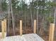 View from deck overlooking a wooded lot at 515 Penny Ln, Loganville, GA 30052