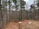 View of a wooded lot from a deck at 515 Penny Ln, Loganville, GA 30052