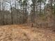 Wooded lot with mature trees and a gently sloping terrain at 515 Penny Ln, Loganville, GA 30052