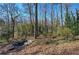 Backyard view of a water feature surrounded by mature trees creating a serene outdoor space at 731 Willow Ridge Dr, Marietta, GA 30068