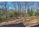 Picturesque backyard featuring a fire pit surrounded by mature trees, perfect for outdoor relaxation at 731 Willow Ridge Dr, Marietta, GA 30068