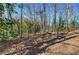 Wooded backyard with stone accents at 731 Willow Ridge Dr, Marietta, GA 30068