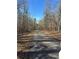 Road flanked by trees; enjoy the seclusion driving home everyday at 4286 Pool Rd, Winston, GA 30187