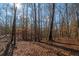 Sun-drenched woodland featuring a thick layer of fallen leaves and mixed trees at 4286 Pool Rd, Winston, GA 30187