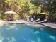 View of the in-ground pool surrounded by trees and lounge chairs at 3950 Stanford Dr, Cumming, GA 30041