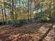 Wooded backyard with a fence and autumn leaves at 5464 Martins Crossing Rd, Stone Mountain, GA 30088